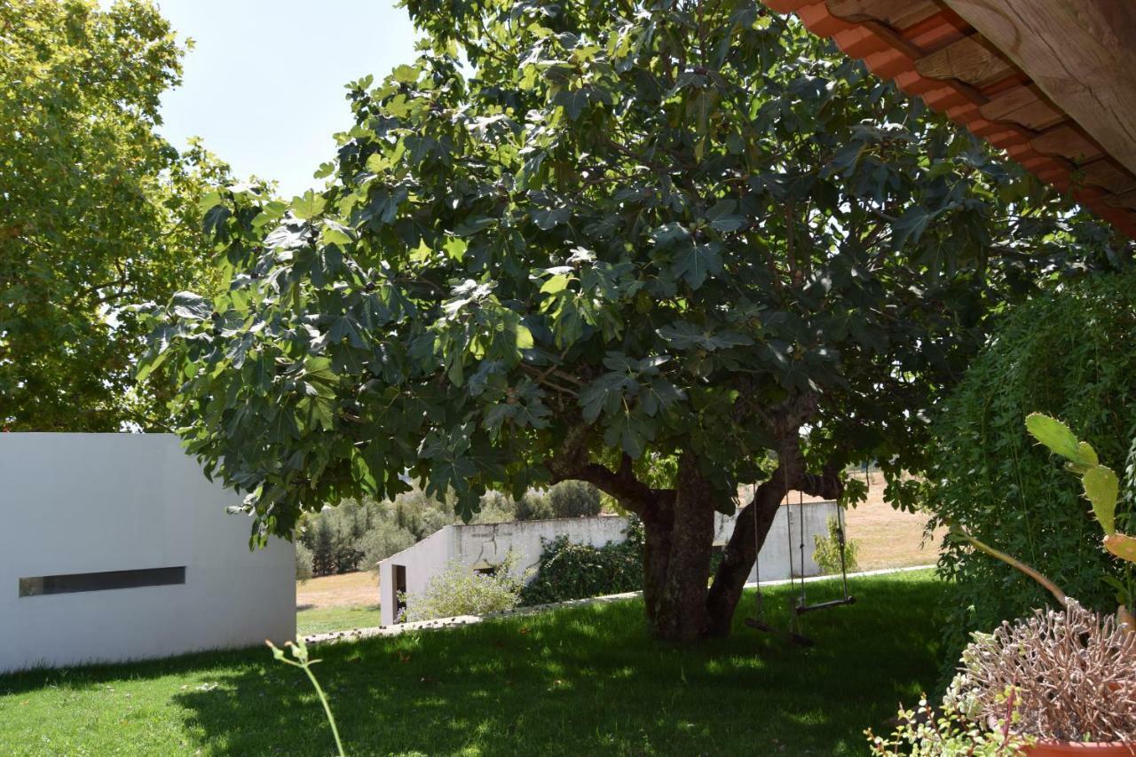 Quinta Da Aurora Villa Evora Bagian luar foto